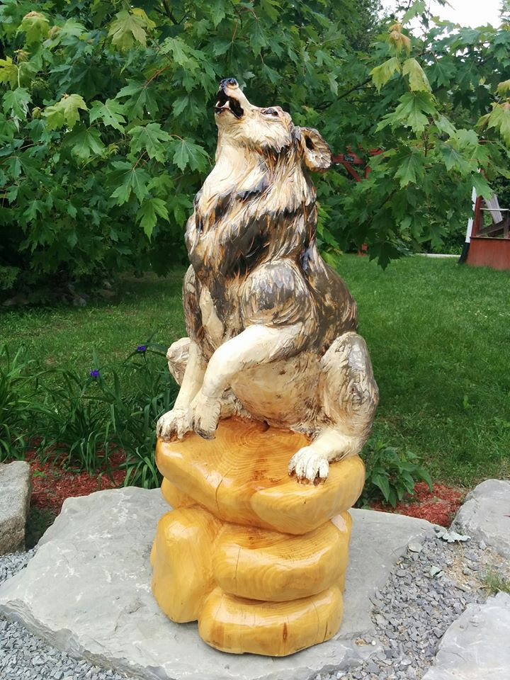 Large Detailed Wolf On Rocks