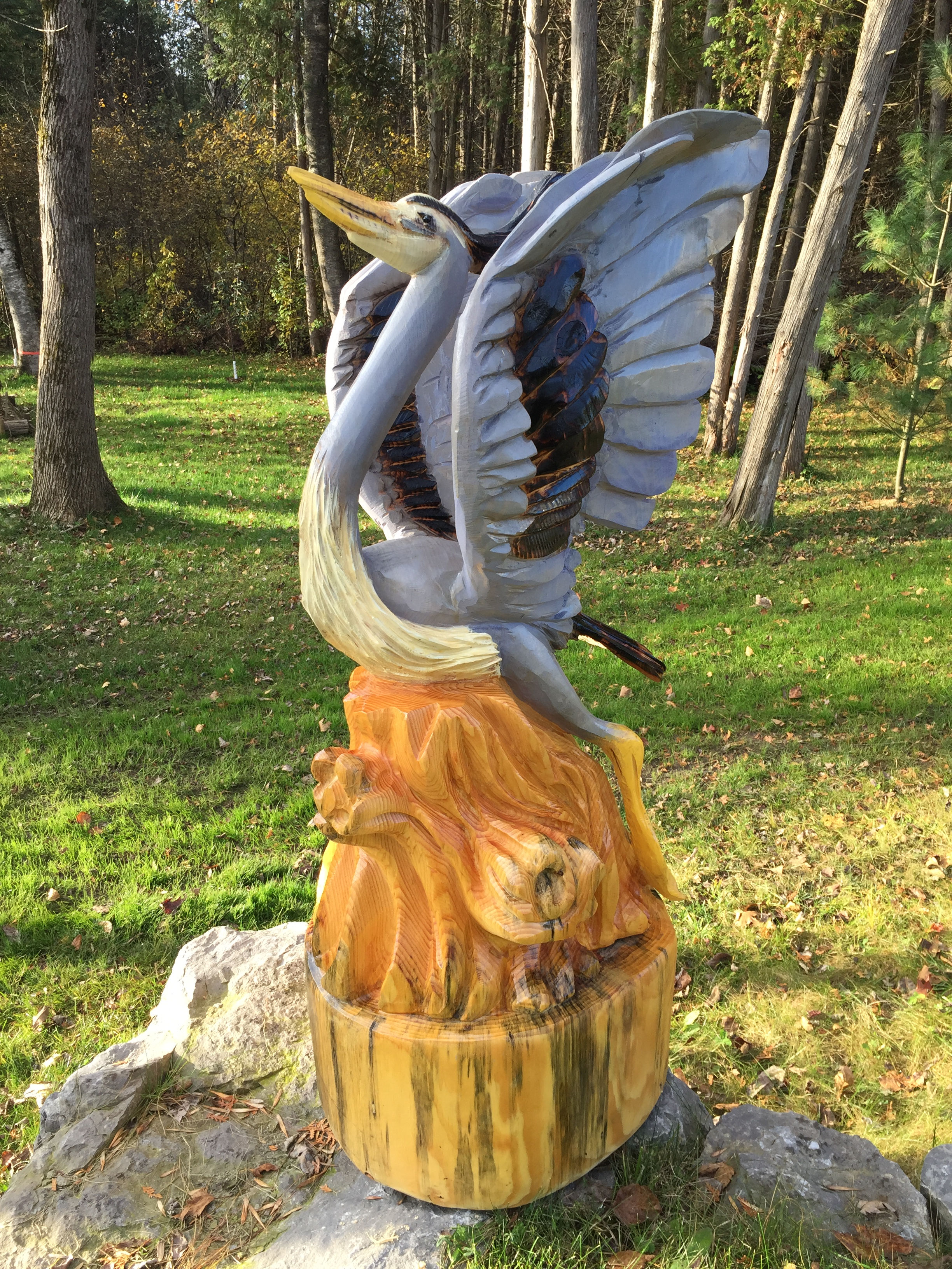 Blue Herron Wings Up