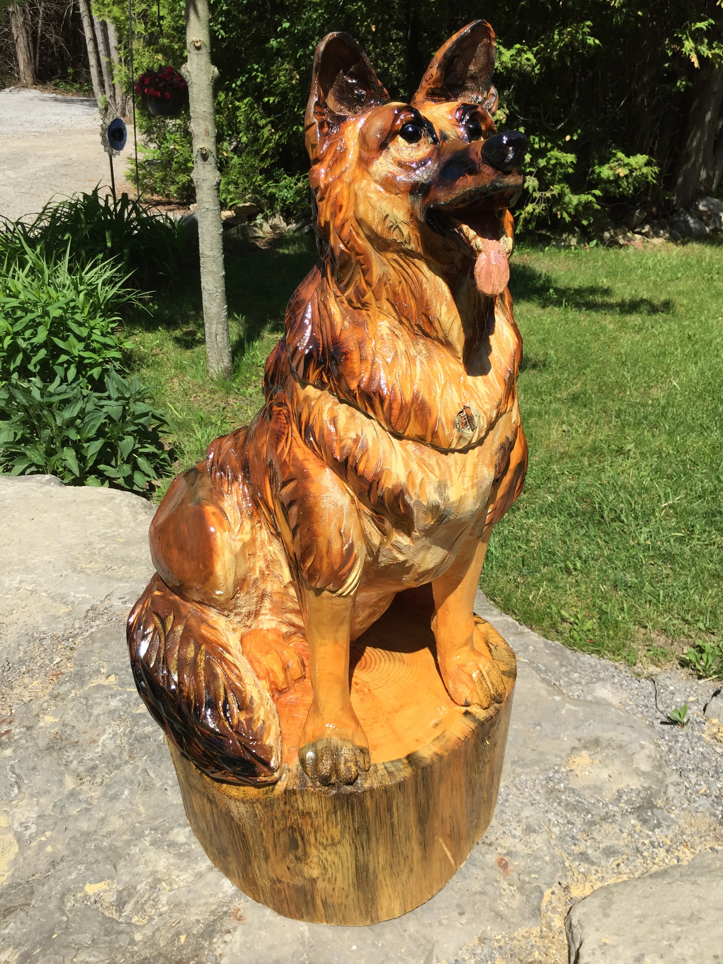 Medium Dogs
