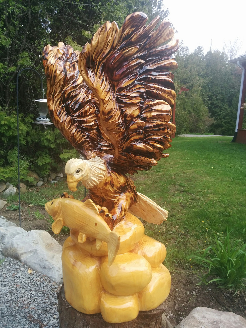 Thumbnail: Screaming Eagle