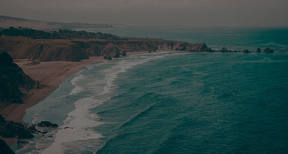 pw-banner-bg-desktop.jpg