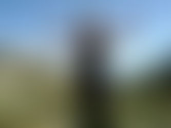 Hindernisse auf dem Yogaweg | Teil 1