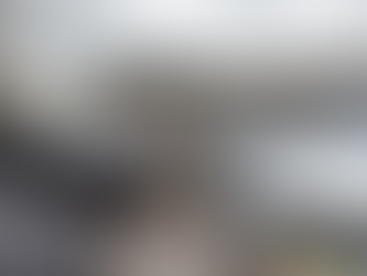 Policía Toronto recupera más de 350 vehículos robados