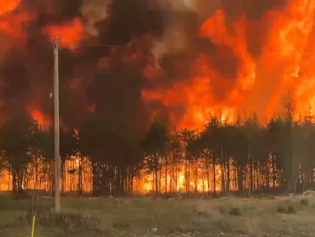 Área incendiada en Manitoba es siete veces más grande que Winnipeg