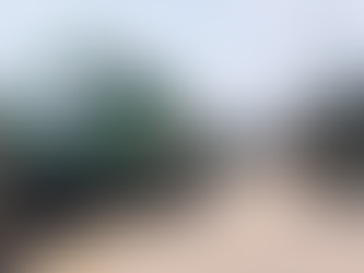 Se reanuda en servicio trenes GO en Milton y Hamilton