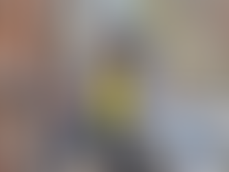 Ardilla provoca apagón en Downtown Toronto