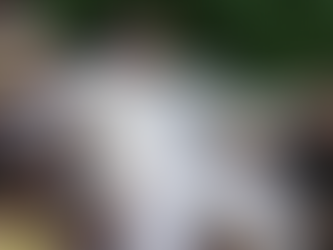 Bad Bunny rompe récord audiencia en el Superbowl