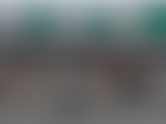 Caen los viajes de canadienses a EE.UU. a través de la frontera