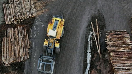 Trump impone otro 10% aranceles a la madera canadiense