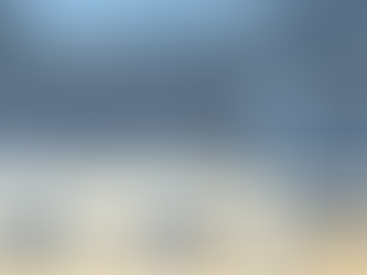 No hay sobrevivientes del accidente aéreo en Washington