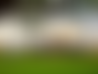 Universidad Toronto solicita orden para desalojar campamento