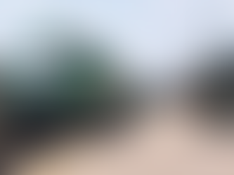 Rutas trenes GO en Milton y Hamilton paralizadas