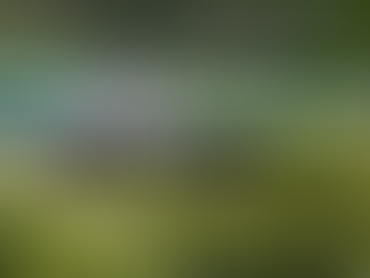 Ontario tendrá la mayor expansión de servicios de trenes GO