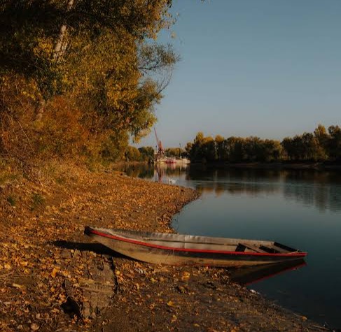 Paisagem de outono escuro