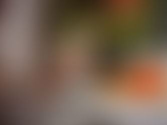 Ihr neuer Vertragspartner für Stihl-Produkte – Qualität und Service aus einer Hand