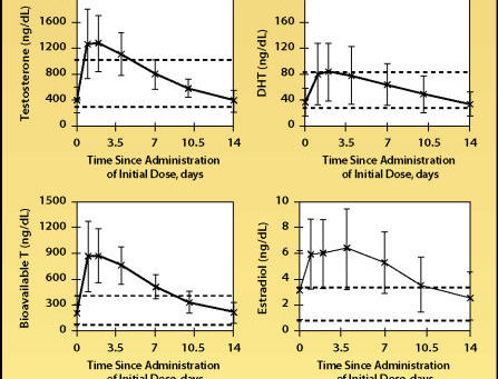 Testosterone: terapia gold standard