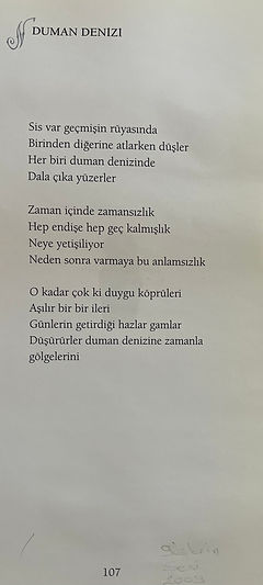 2009H.jpeg
