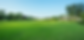 Untitled design(1).png