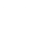 insect(2).png