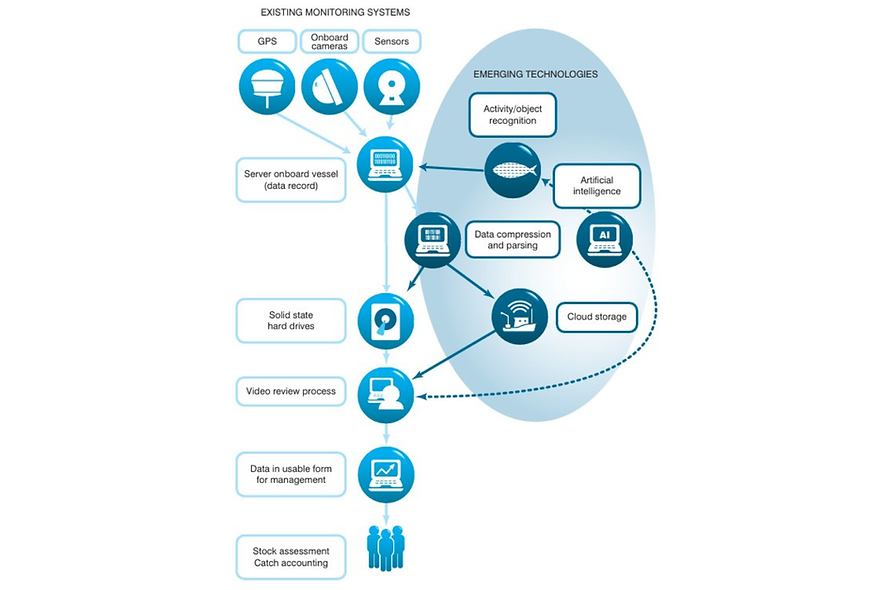 Untitled design(4).png