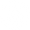 insect(3).png