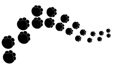 e3b5ef1e-3812-4b6a-a741-1acd9f4d3d51.png