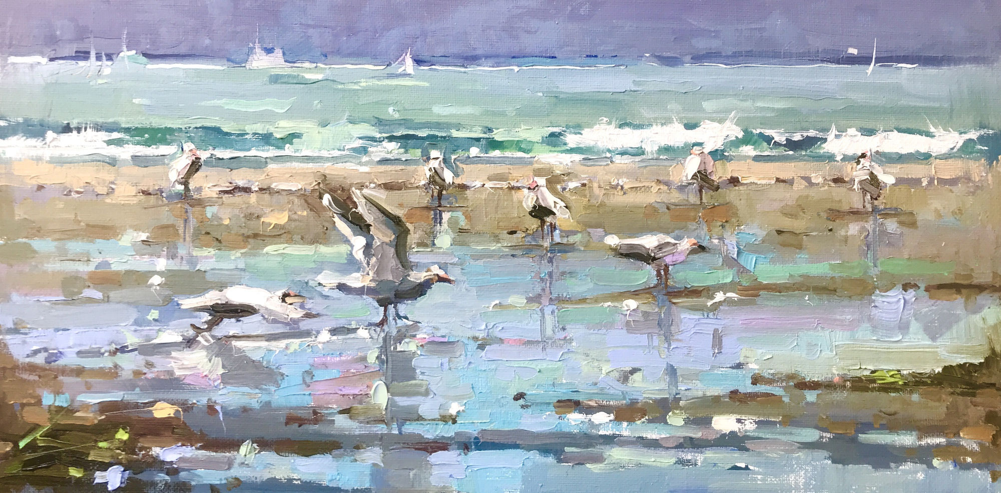 Shorebirds