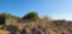 20230830_170343.jpg