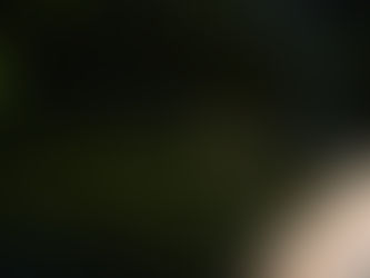 DAMSELS IN DISTRESS--A SUMMER SMALLMOUTH DRAMA