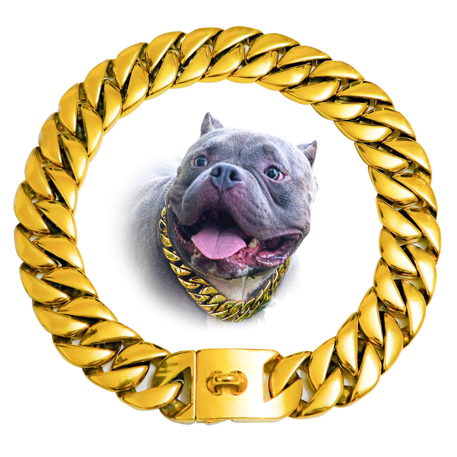 Gold Cuban Link Dog Collar (Multiple Widths)