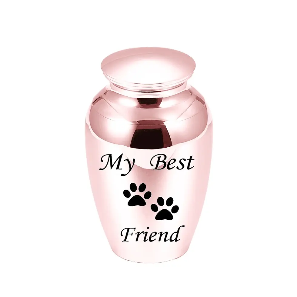 Thumbnail: The Eternal Paw™ Stainless Steel Memorial Urn Pendant – Waterproof Ashes Keepsak
