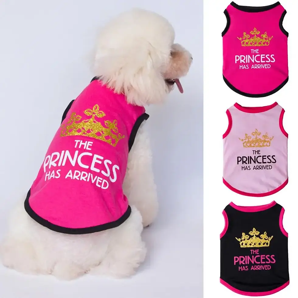 Thumbnail: The Princess Has Arrived™ Statement Tee – Breathable Summer Shirt