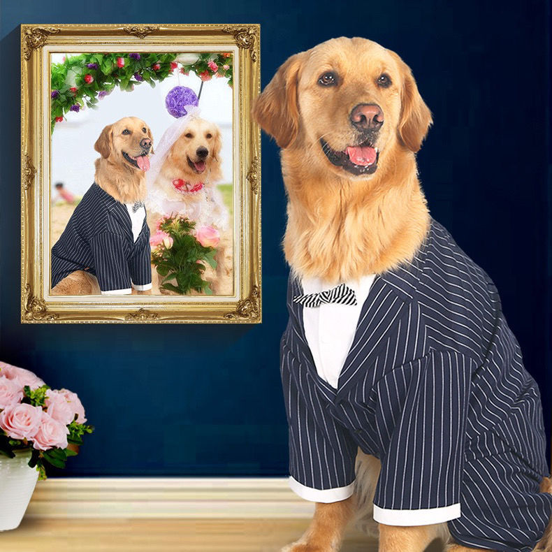 Thumbnail: Large Dog Wedding Costume — Elegant Formal Attire for Big Dogs