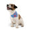 Thumbnail: Pet Bandana with 'Kiss My Tail' Design,