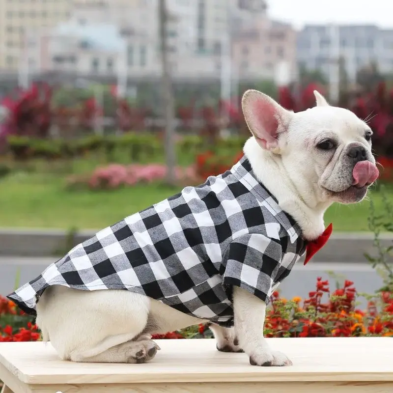 Thumbnail: Fashion Plaid Dog Shirt Suit — Wedding & Party Outfit for Small and Large Dogs