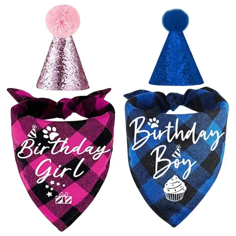 Pet Birthday Hat & Scarf Set