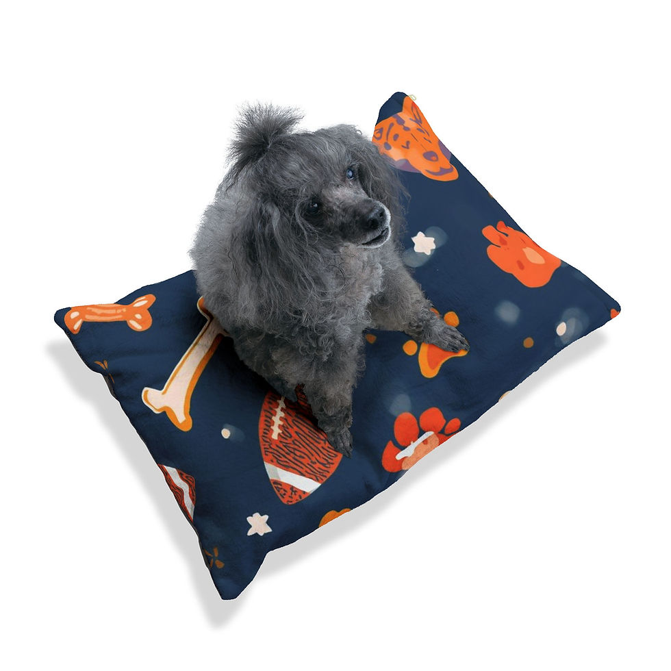 Thumbnail: Pet Bed - Fire and Football Design