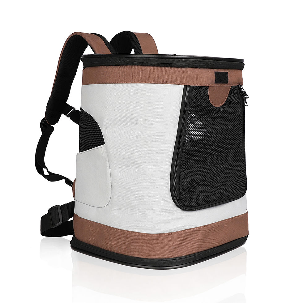 Thumbnail: Pet Carrier Backpack