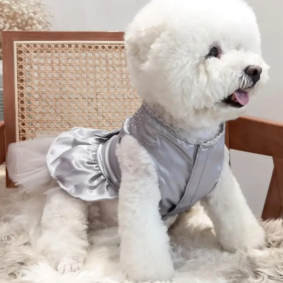 Thumbnail: The Veil Vogue™ Patchwork Mesh Dress – Sleeveless Occasion Wear for Small Dogs