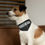 Thumbnail: ParisChicago Stylish Pet Bandana Collar 