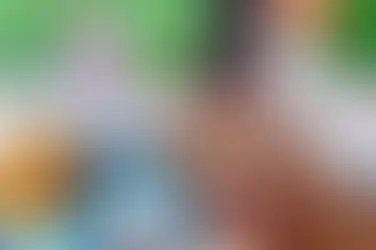 A Misanthrope Teaches a Class for Demi-Humans 1x12 The Misanthrope and Falsehood Found Nigh