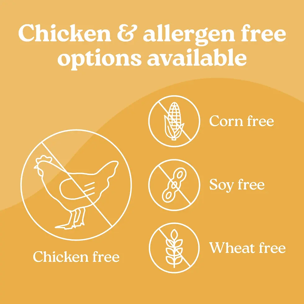 Thumbnail: Grilled Duck Pill Buddy Dog Treats – 30ct