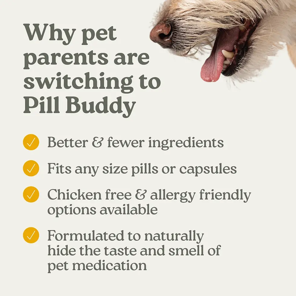 Thumbnail: Peanut Butter Apple Pill Buddy Dog Treats – 30ct