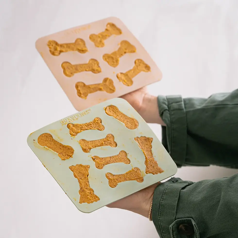 Thumbnail: 3-Piece Silicone Dog Treat Mold Set