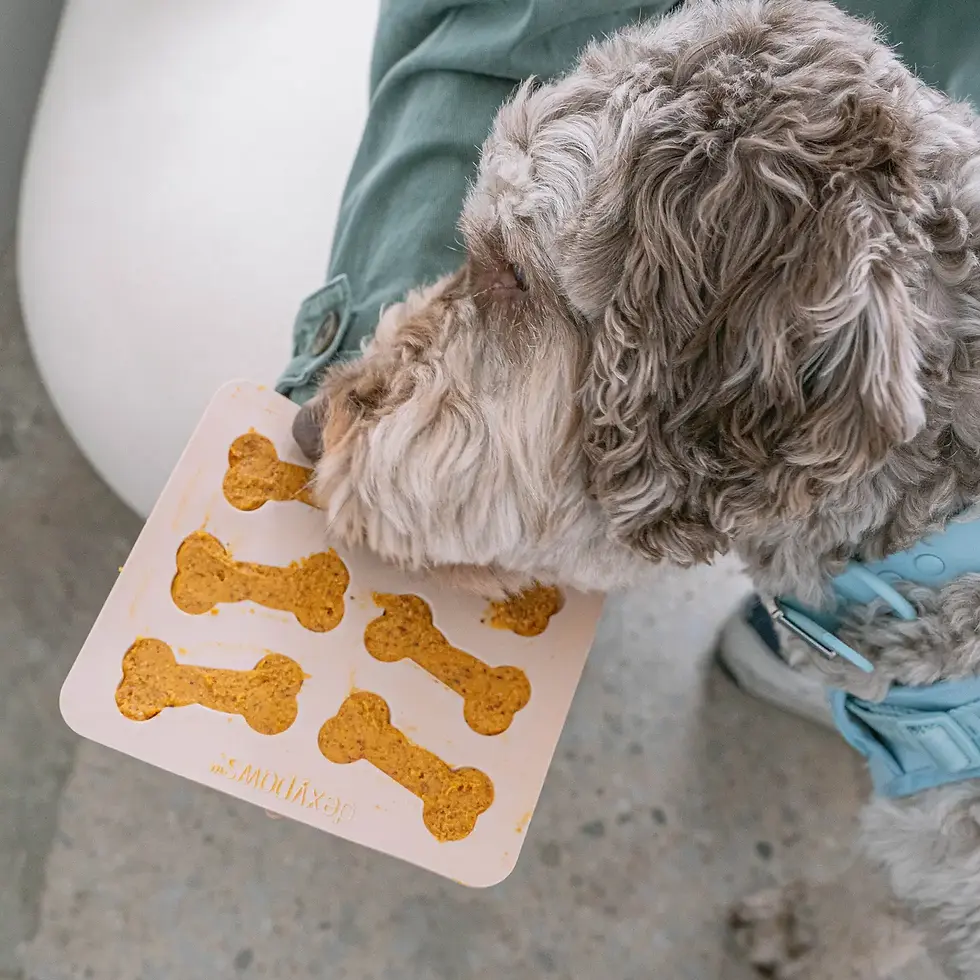 Thumbnail: 3-Piece Silicone Dog Treat Mold Set
