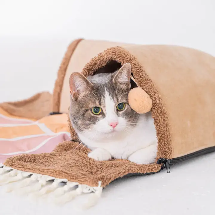 Thumbnail: Cat Playhouse - Sunrise