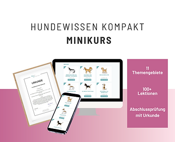 Hundewissen kompakt.png