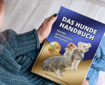 Hundehandbuch Titelbild_edited.jpg
