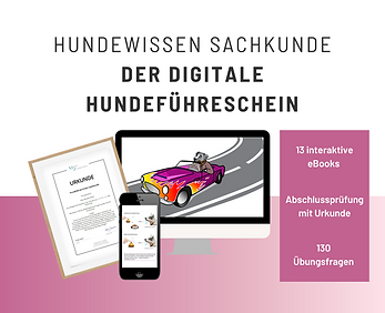 Der digitale Hundeführerschein.png