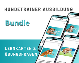 Lernkarten Bundle.png